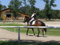 Fotos beim reiten.. :) 24477631