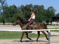 Fotos beim reiten.. :) 24477656