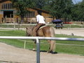 Fotos beim reiten.. :) 24477821