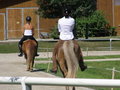 Fotos beim reiten.. :) 24477837