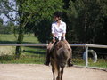 Fotos beim reiten.. :) 24477906