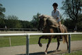 Fotos beim reiten.. :) 24662103