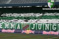 SK RAPID WIEN..... 40230070