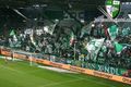 SK RAPID WIEN..... 51390490