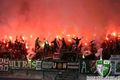 SK RAPID WIEN..... 51390505