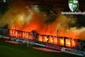 SK RAPID WIEN..... 51391413