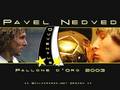 °°°NEDVED^^^ 2671805