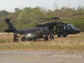 Black Hawk 11082465