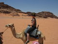 Camel- riding in Rum  42863459