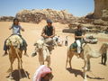 Camel- riding in Rum  42863472