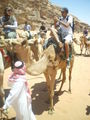 Camel- riding in Rum  42863539