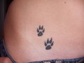 Meine Tattoos 34187265