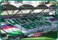 SK Rapid Wien 4 Ever 3908843