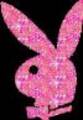 Playboy bunny 2830972