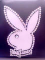 Playboy bunny 8220353