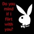 Playboy bunny 8220458