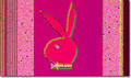 Playboy bunny 8220498