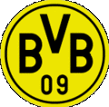 BVB 09 3166025