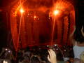 Robbie Williams Live at Vienna 2006 8776480