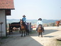 ~MY HoRsEs~ 20412829