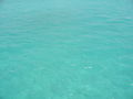 Bahamas 2008 64151130