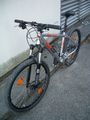 Meine Bikes 42757296