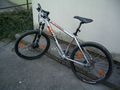 Meine Bikes 42757475