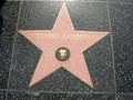 Walk of Fame 8596787