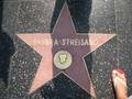 Walk of Fame 8596852