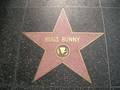 Walk of Fame 8597102