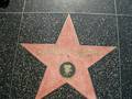 Walk of Fame 8597352