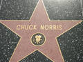 Walk of Fame 8597503