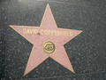 Walk of Fame 8597728