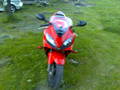 mein Motorrad 9033649