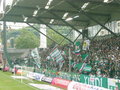 SK Rapid Wien - Superfund Pasching  2-0 19948736