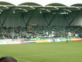 SK Rapid Wien - Superfund Pasching  2-0 19948748