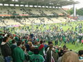 SK Rapid Wien - Superfund Pasching  2-0 19948758