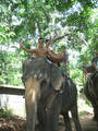 Thailand 2006 7013684