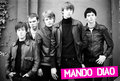 Mando Diao 21300680