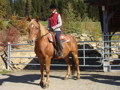 reiten 30060501