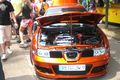 GTI Treffen 2009 :-) 60318868