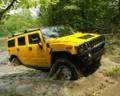 Hummer 3072599