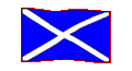 Celtic Nation 8256566