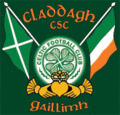 Celtic Nation 8256646