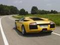 murcielago 4527405