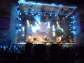 donauinselfest 2008 44832149