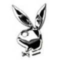 Playboy bunnis 4410526