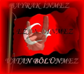 canim türkiyem/ 4-ever 12774944