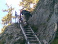 Wandern Traunstein!! 72006040