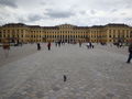 Schloss Schönbrunn 63438378